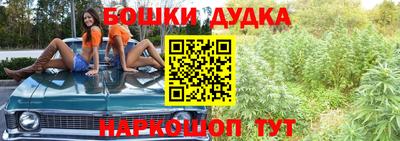 прущие крисы Нарткала