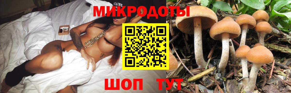 Псилоцибиновые грибы мухоморы  Псилоцибиновые грибы прущие грибы  Вход с VPN  Тулун 